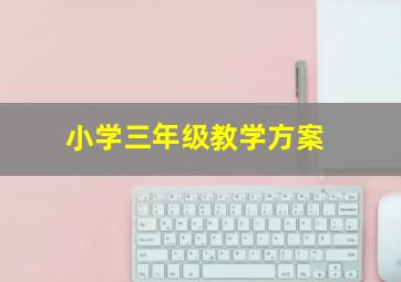 小学三年级教学方案