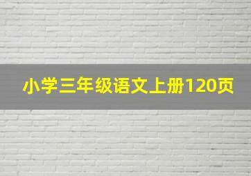 小学三年级语文上册120页