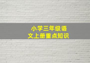 小学三年级语文上册重点知识