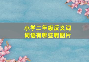 小学二年级反义词词语有哪些呢图片