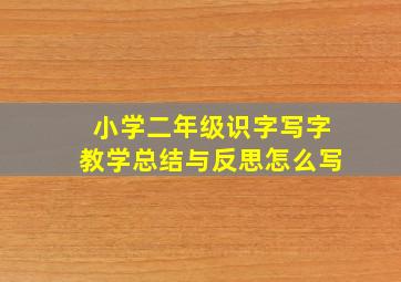 小学二年级识字写字教学总结与反思怎么写