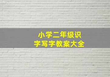 小学二年级识字写字教案大全