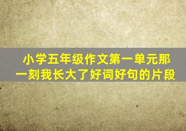 小学五年级作文第一单元那一刻我长大了好词好句的片段