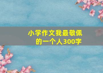 小学作文我最敬佩的一个人300字