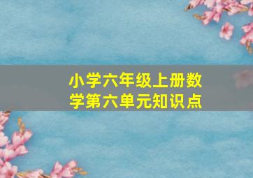 小学六年级上册数学第六单元知识点