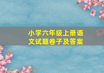 小学六年级上册语文试题卷子及答案