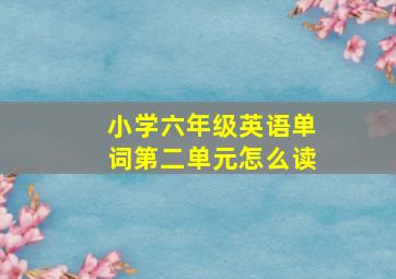 小学六年级英语单词第二单元怎么读