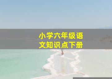 小学六年级语文知识点下册