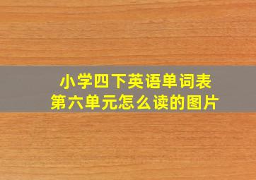 小学四下英语单词表第六单元怎么读的图片