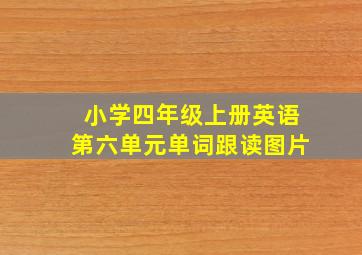 小学四年级上册英语第六单元单词跟读图片