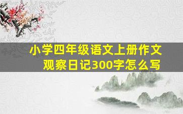 小学四年级语文上册作文观察日记300字怎么写