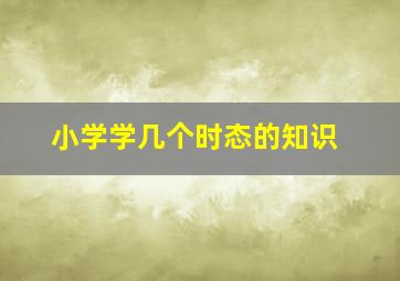 小学学几个时态的知识