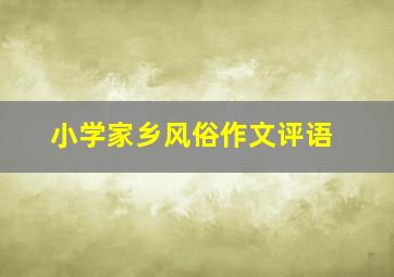 小学家乡风俗作文评语