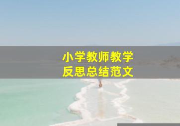 小学教师教学反思总结范文