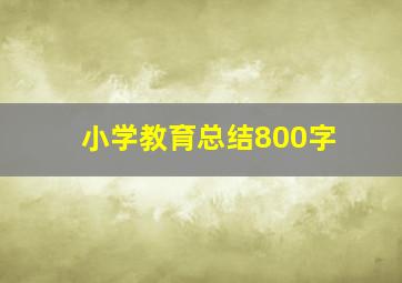 小学教育总结800字