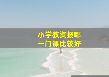 小学教资报哪一门课比较好