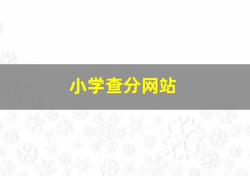 小学查分网站