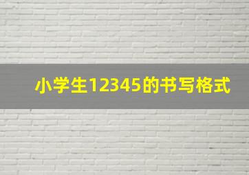 小学生12345的书写格式