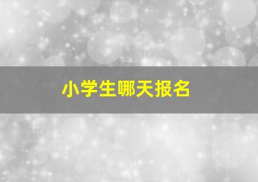 小学生哪天报名