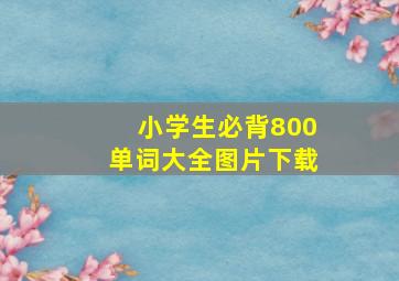 小学生必背800单词大全图片下载