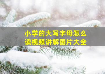 小学的大写字母怎么读视频讲解图片大全