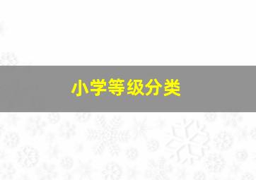 小学等级分类