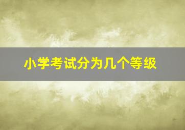 小学考试分为几个等级