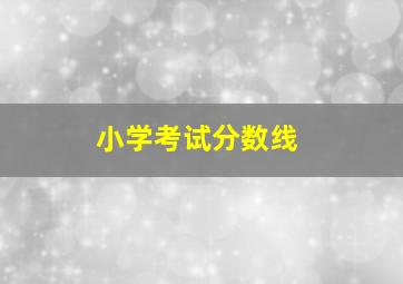 小学考试分数线