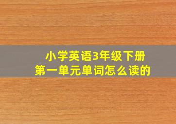 小学英语3年级下册第一单元单词怎么读的