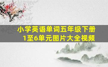 小学英语单词五年级下册1至6单元图片大全视频