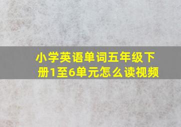 小学英语单词五年级下册1至6单元怎么读视频