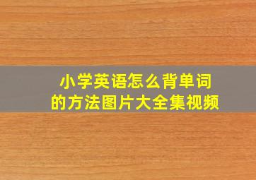 小学英语怎么背单词的方法图片大全集视频