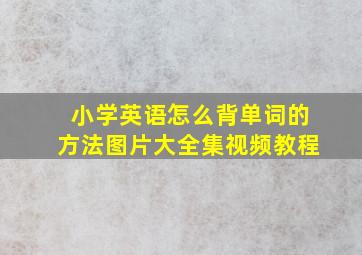 小学英语怎么背单词的方法图片大全集视频教程