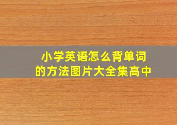 小学英语怎么背单词的方法图片大全集高中