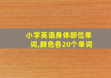 小学英语身体部位单词,颜色各20个单词