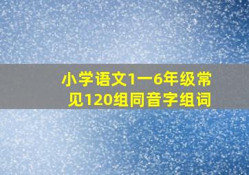 小学语文1一6年级常见120组同音字组词