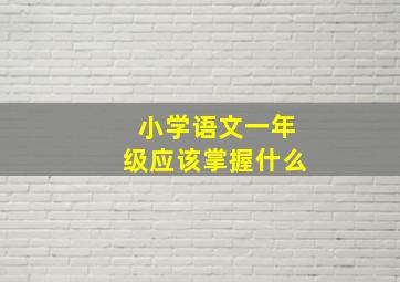 小学语文一年级应该掌握什么