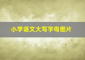 小学语文大写字母图片