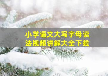 小学语文大写字母读法视频讲解大全下载