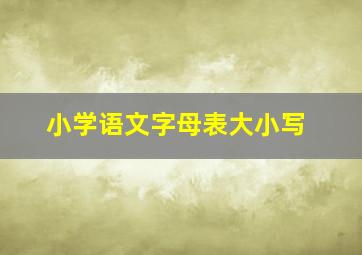 小学语文字母表大小写