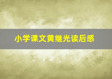 小学课文黄继光读后感