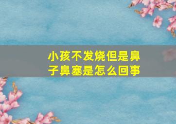 小孩不发烧但是鼻子鼻塞是怎么回事