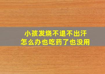 小孩发烧不退不出汗怎么办也吃药了也没用