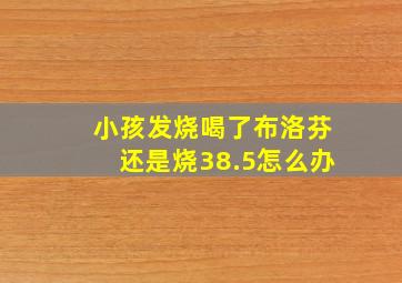 小孩发烧喝了布洛芬还是烧38.5怎么办