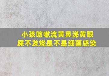 小孩咳嗽流黄鼻涕黄眼屎不发烧是不是细菌感染