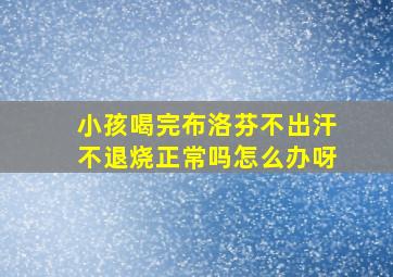 小孩喝完布洛芬不出汗不退烧正常吗怎么办呀