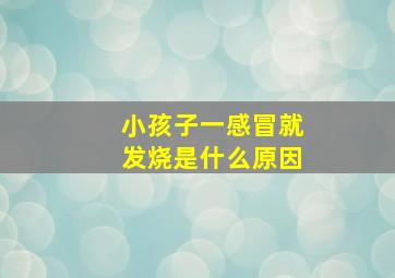 小孩子一感冒就发烧是什么原因