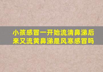 小孩感冒一开始流清鼻涕后来又流黄鼻涕是风寒感冒吗