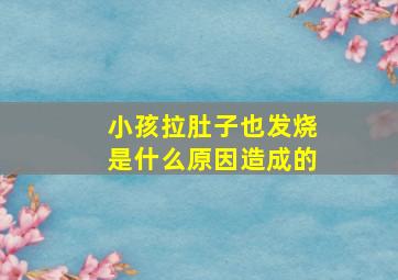 小孩拉肚子也发烧是什么原因造成的