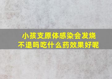 小孩支原体感染会发烧不退吗吃什么药效果好呢